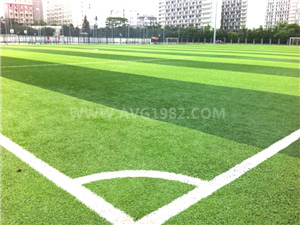 深圳大學(xué)大運(yùn)會(huì)場(chǎng)地