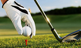 熱烈祝賀傲勝公司成為沙特教育部推薦草坪供應(yīng)商 熱烈祝賀傲勝公司成為沙特教育部推薦草坪供應(yīng)商