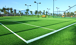 鳥巢人造草獨(dú)家供應(yīng)商敲定廣州傲勝 鳥巢人造草獨(dú)家供應(yīng)商敲定廣州傲勝