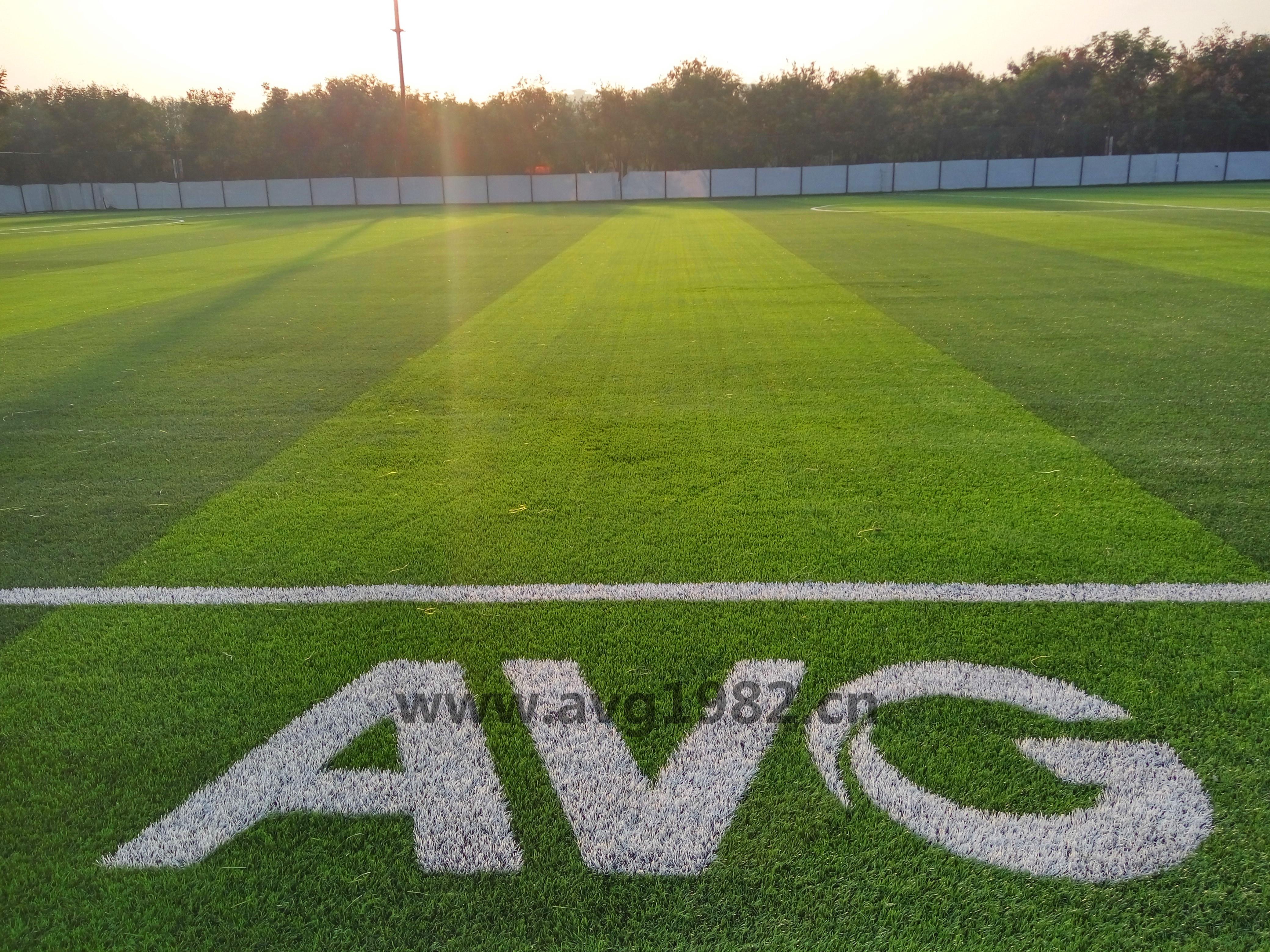 【健康中國】遇見盛唐，傲勝草與大明宮一同傳承千年足球文化