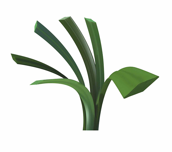 新手怎么判斷人造草坪的好壞呢？三個(gè)方面入手