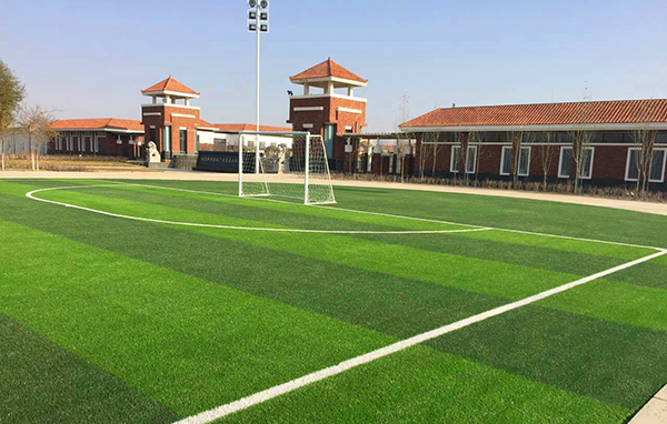 人造草坪外表千篇一律，為什么價(jià)格差異大