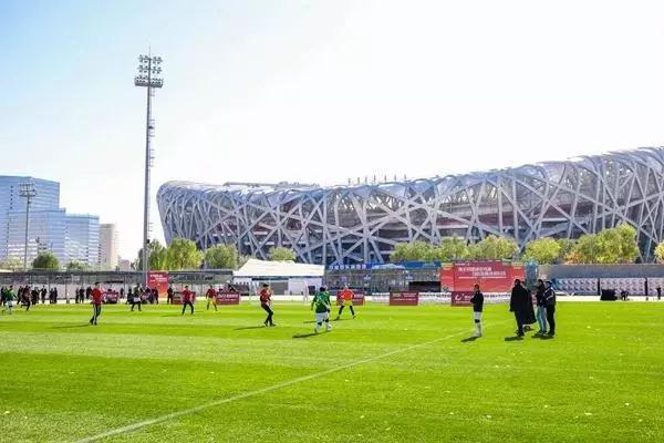 人造草和天然草選誰好？不如看看編織型混合草坪