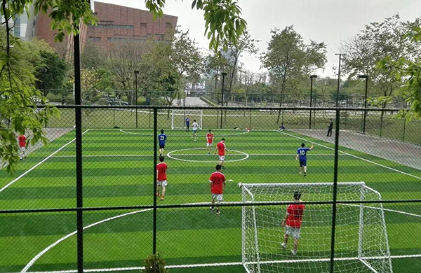 反轉(zhuǎn)！人造草坪鋪設(shè)小型球場被群眾舉報執(zhí)行拆除？