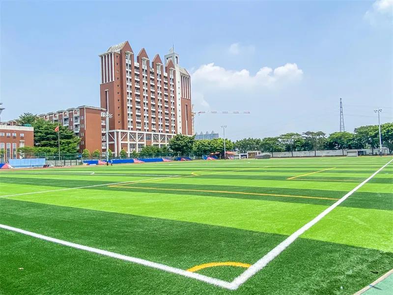 出彩！傲勝人造草被體育工作示范校優(yōu)先采用！