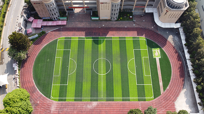 如何選擇體育場人造草坪？
