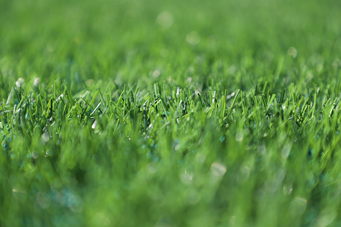 人造草坪足球場造價是多少？