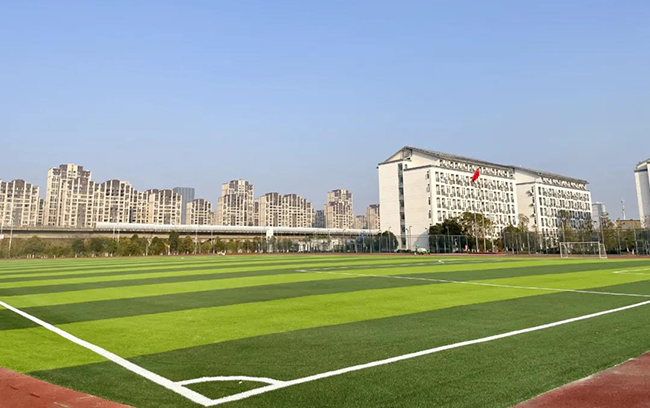 學(xué)校體育|體教融合該怎么融？