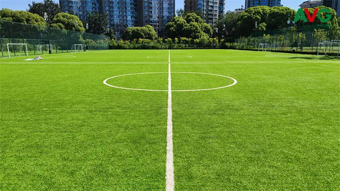 體育公園該如何建設？