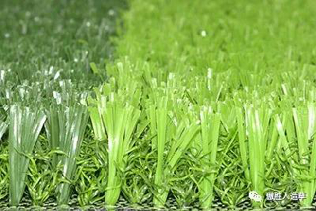 體博會(huì)現(xiàn)場(chǎng) 體博會(huì)現(xiàn)場(chǎng)