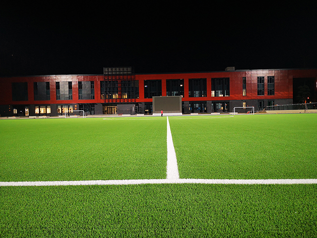 足球場(chǎng)人造草坪