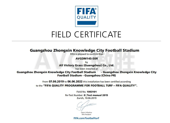 中新知識城FIFA證書 中新知識城FIFA證書