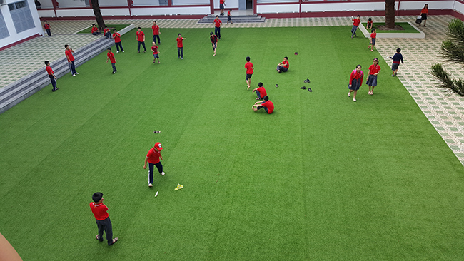 休閑草坪 休閑草坪