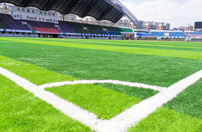 校園人造草足球場(chǎng) 校園人造草足球場(chǎng)