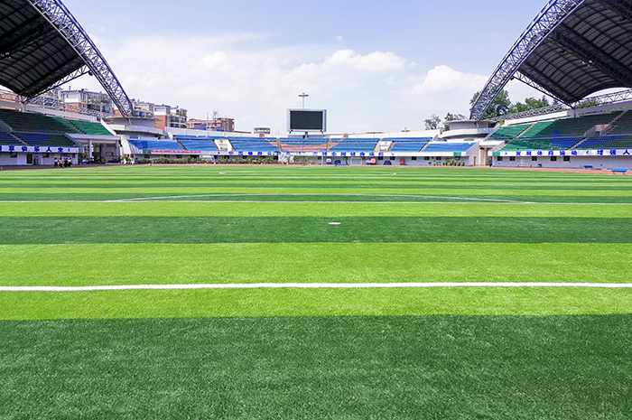 人造草體育館 人造草體育館