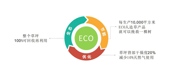 特點(diǎn) 特點(diǎn)