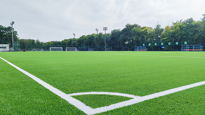 國(guó)家?jiàn)W林匹克體育中心1