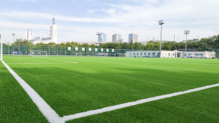 國(guó)家?jiàn)W林匹克體育中心3