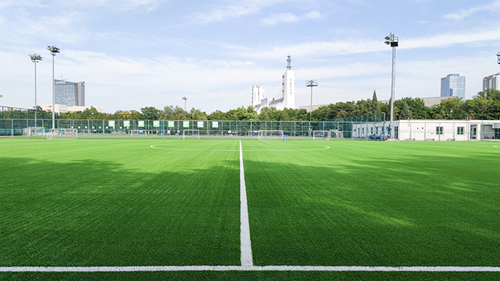 國(guó)家?jiàn)W林匹克體育中心5