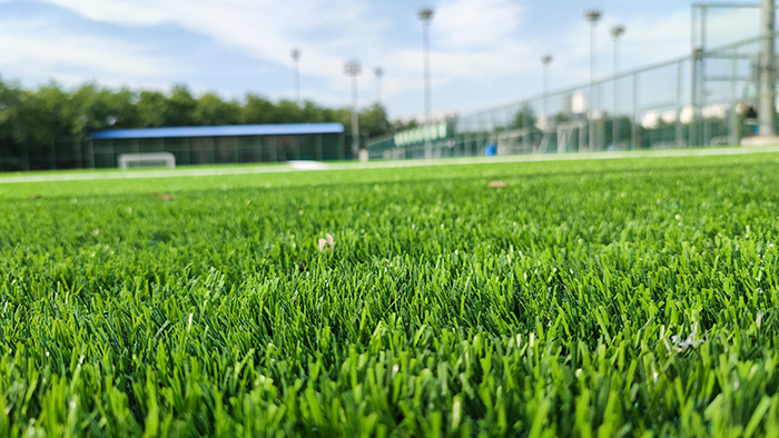 國(guó)家?jiàn)W林匹克體育中心7